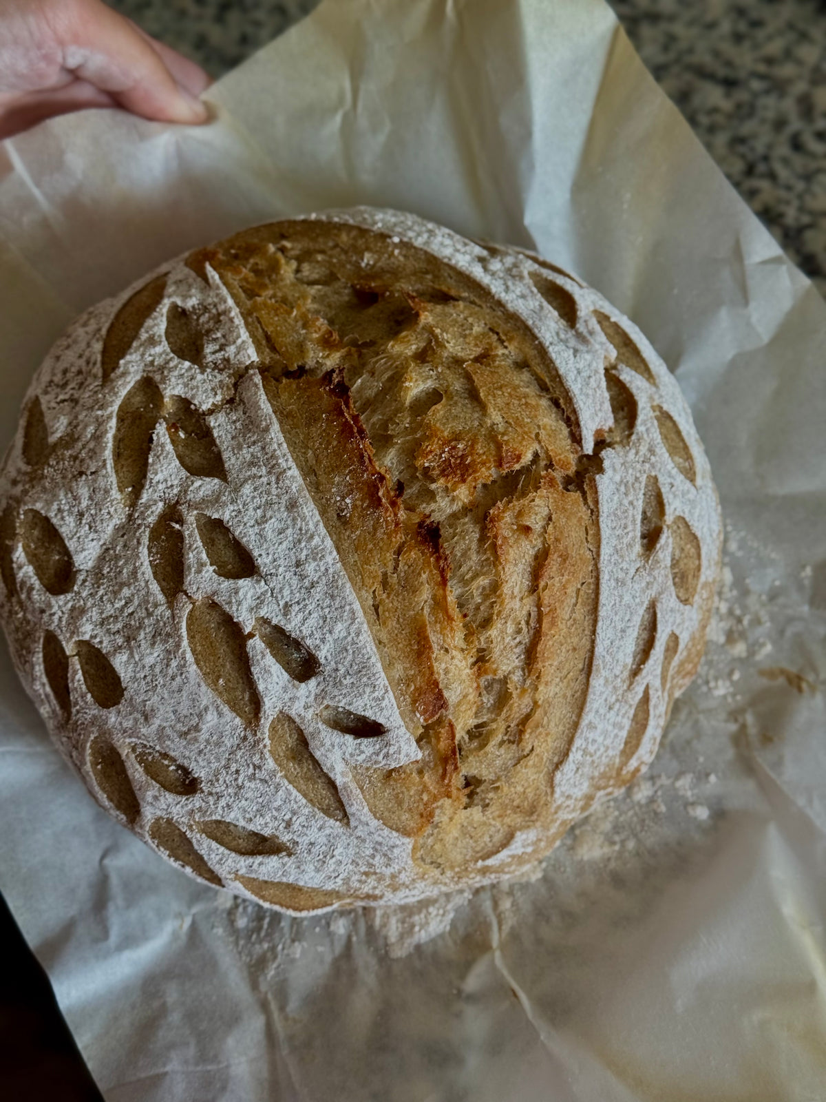 Sourdough